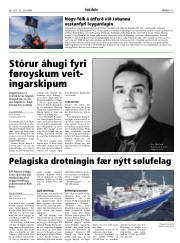 Síða 11