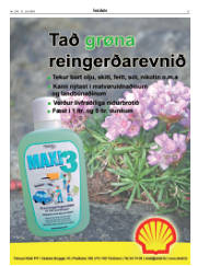 Síða 37