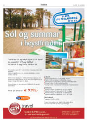 Síða 30