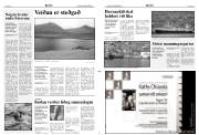 Síða 3
