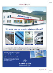 Síða 29