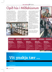 Síða 8
