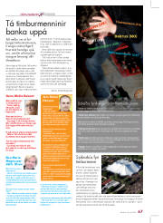 Síða 11