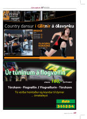 Síða 13