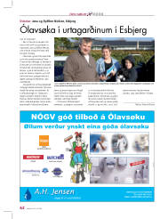 Síða 6