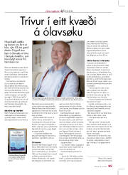 Síða 29