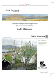 Síða 33