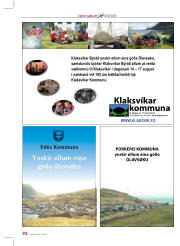 Síða 36