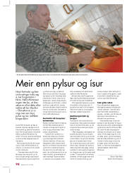 Síða 38