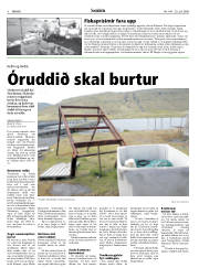 Síða 8