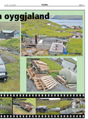 Síða 21