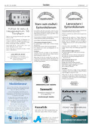 Síða 25
