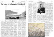 Síða 13