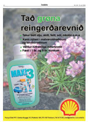 Síða 34