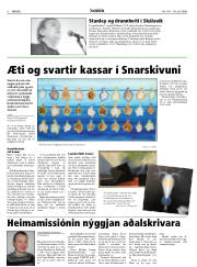 Síða 8