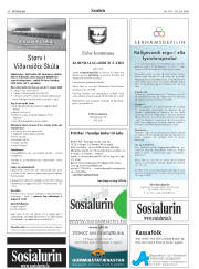 Síða 28