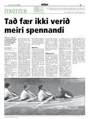 Síða 17