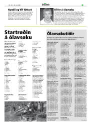 Síða 19