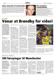 Síða 20