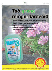Síða 24
