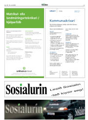 Síða 33