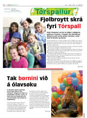 Síða 8