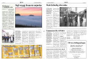 Síða 6