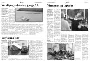 Síða 8
