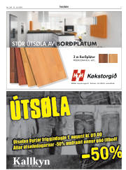 Síða 3