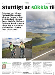 Síða 48