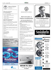 Síða 41