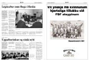 Síða 4