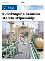 Síða 17