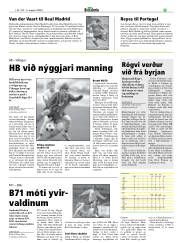 Síða 29