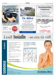Síða 34