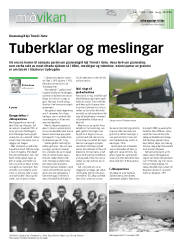 Síða 19