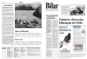 Síða 5