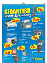 Síða 29