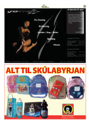 Síða 33