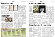 Síða 8