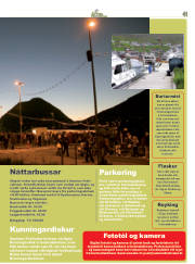Síða 41