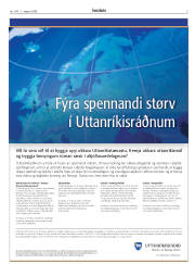 Síða 5
