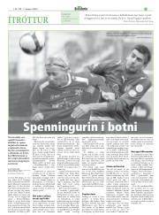 Síða 19