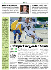 Síða 22