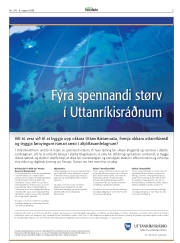 Síða 5