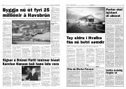 Síða 5