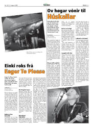 Síða 21