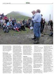 Síða 31
