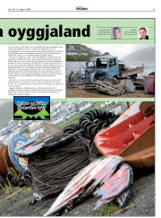 Síða 33