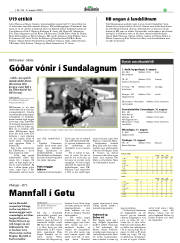 Síða 41